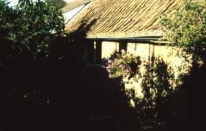 Das Gartenhaus, der erste Eindruck t�uscht....