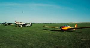 Unser Rattel in schneller Umgebung